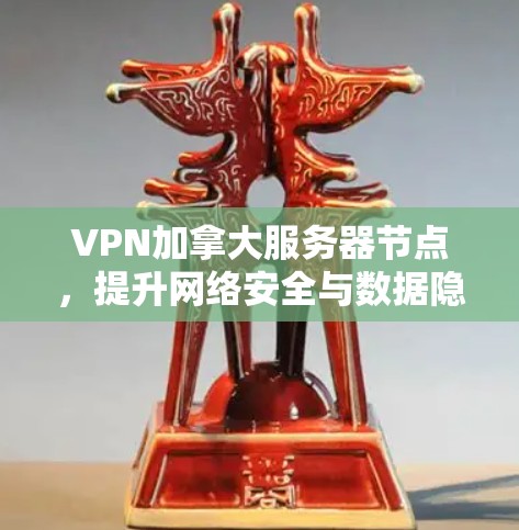 VPN加拿大服务器节点，提升网络安全与数据隐私的高效解决方案
