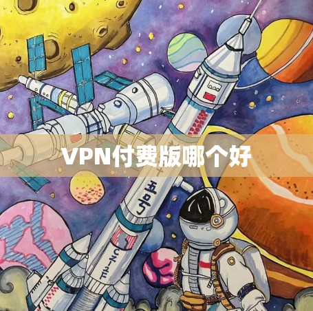 VPN付费版哪个好 VPN付费版哪个好