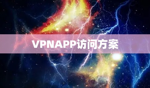 VPNAPP访问方案 VPNAPP访问方案