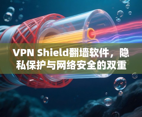 VPN Shield翻墙软件,隐私保护与网络安全的双重保障 VPN Shield翻墙软件,隐私保护与网络安全的双重保障