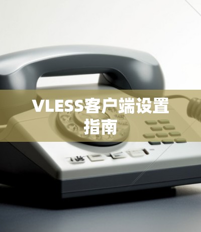 VLESS客户端设置指南 VLESS客户端设置指南