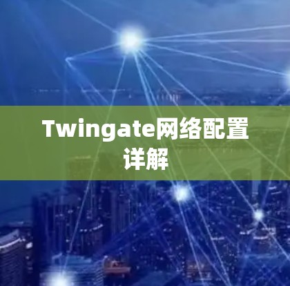 Twingate网络配置详解 Twingate网络配置详解