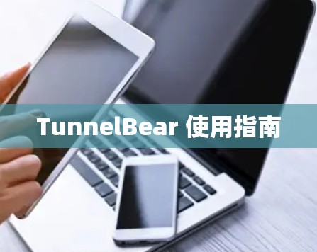 TunnelBear 使用指南 TunnelBear 使用指南