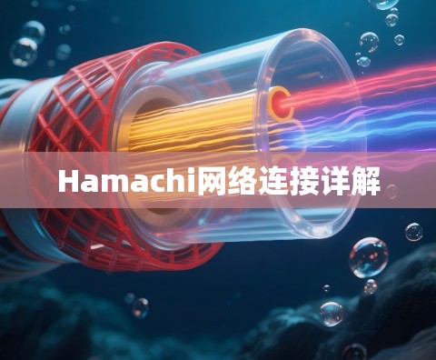 Hamachi网络连接详解 Hamachi网络连接详解