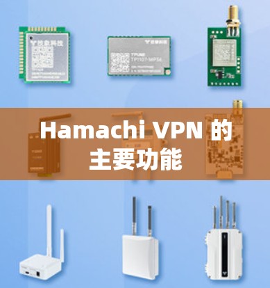 Hamachi VPN 的主要功能 Hamachi VPN 的主要功能