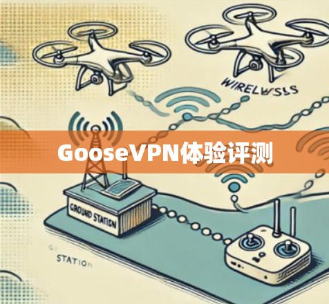 GooseVPN体验评测 GooseVPN体验评测
