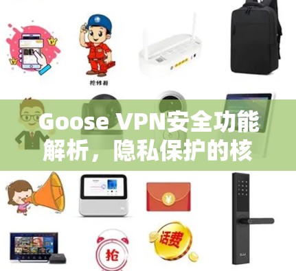 Goose VPN安全功能解析,隐私保护的核心技术 Goose VPN安全功能解析,隐私保护的核心技术