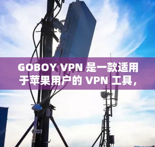 GOBOY VPN 是一款适用于苹果用户的 VPN 工具,具有多项优势,包括高效稳定、多平台支持、多服务器网络、隐私保护、低成本和24小时客服服务。以下是对其优势的详细分析和潜在问题的探讨 GOBOY VPN 是一款适用于苹果用户的 VPN 工具,具有多项优势,包括高效稳定、多平台支持、多服务器网络、隐私保护、低成本和24小时客服服务。以下是对其优势的详细分析和潜在问题的探讨