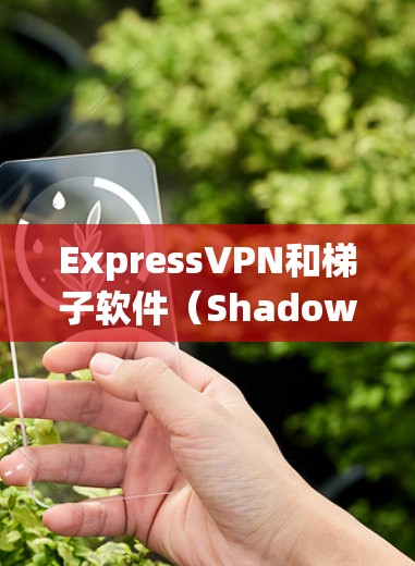 ExpressVPN和梯子软件(Shadowsocks)都是常用的翻墙工具,但它们有不同的特点和适用场景。以下是对它们的对比分析 ExpressVPN和梯子软件(Shadowsocks)都是常用的翻墙工具,但它们有不同的特点和适用场景。以下是对它们的对比分析