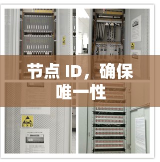 节点 ID,确保唯一性 节点 ID,确保唯一性