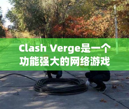 Clash Verge是一个功能强大的网络游戏配置工具,旨在帮助用户优化游戏性能和体验。以下是配置Clash Verge的详细步骤指南 Clash Verge是一个功能强大的网络游戏配置工具,旨在帮助用户优化游戏性能和体验。以下是配置Clash Verge的详细步骤指南
