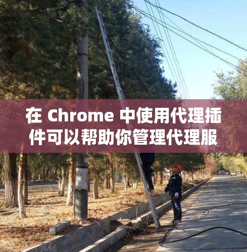 在 Chrome 中使用代理插件可以帮助你管理代理服务器,匿名上网或绕过网络限制。以下是一些常见的代理插件推荐 在 Chrome 中使用代理插件可以帮助你管理代理服务器,匿名上网或绕过网络限制。以下是一些常见的代理插件推荐