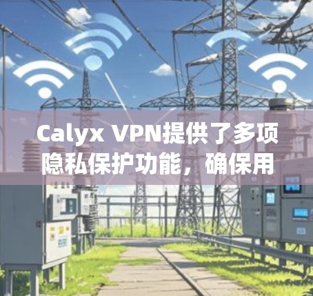 Calyx VPN提供了多项隐私保护功能，确保用户的数据安全和隐私。以下是其主要隐私功能的详细说明