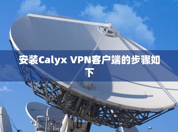 安装Calyx VPN客户端的步骤如下 安装Calyx VPN客户端的步骤如下