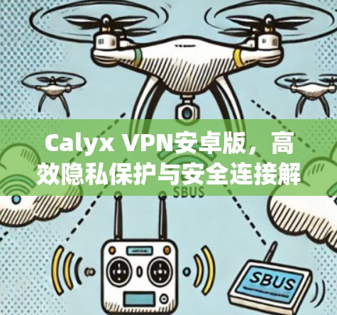 Calyx VPN安卓版,高效隐私保护与安全连接解决方案 Calyx VPN安卓版,高效隐私保护与安全连接解决方案