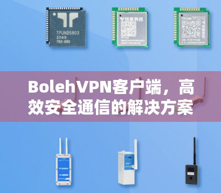 BolehVPN客户端，高效安全通信的解决方案