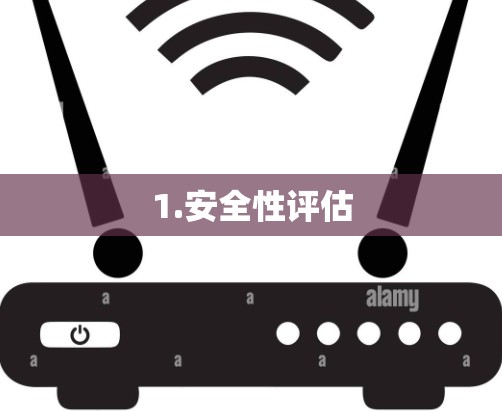 1.安全性评估 1.安全性评估