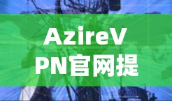 AzireVPN官网提供了一个功能全面的平台，旨在满足用户的高速、安全和稳定VPN需求。以下是对官网内容的详细分析