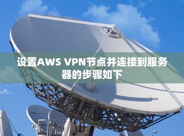 设置AWS VPN节点并连接到服务器的步骤如下 设置AWS VPN节点并连接到服务器的步骤如下