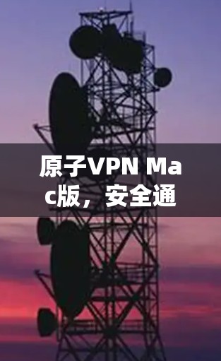 原子VPN Mac版，安全通信的高效解决方案