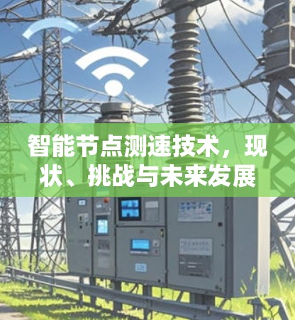 智能节点测速技术,现状、挑战与未来发展展望 智能节点测速技术,现状、挑战与未来发展展望
