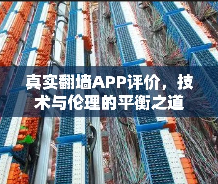 真实翻墙APP评价，技术与伦理的平衡之道