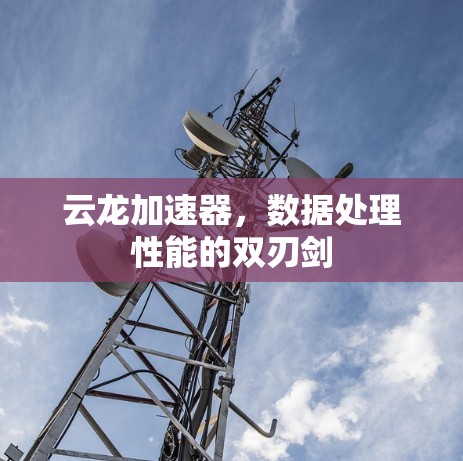 云龙加速器，数据处理性能的双刃剑