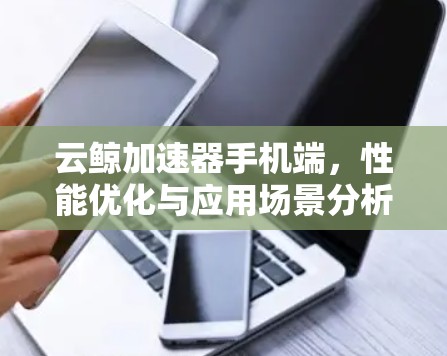 云鲸加速器手机端,性能优化与应用场景分析 云鲸加速器手机端,性能优化与应用场景分析