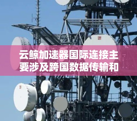 云鲸加速器国际连接主要涉及跨国数据传输和应用性能优化,以下是详细的解决方案 云鲸加速器国际连接主要涉及跨国数据传输和应用性能优化,以下是详细的解决方案