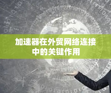 加速器在外贸网络连接中的关键作用