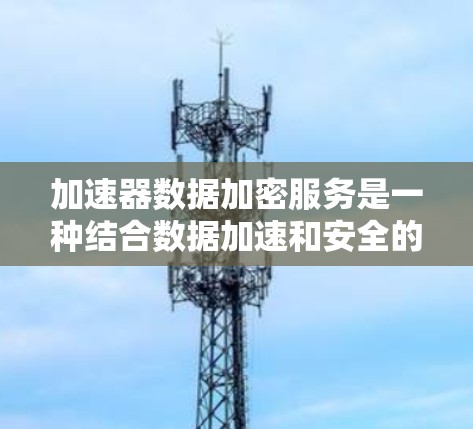 加速器数据加密服务是一种结合数据加速和安全的解决方案,适用于需要高性能和高安全性的数据处理场景。以下是对加速器数据加密服务的详细分析和总结